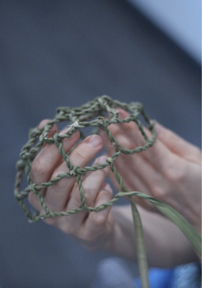 Cattail Basketry Series — White Feather Farm